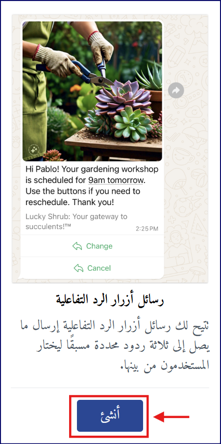Message13-AR