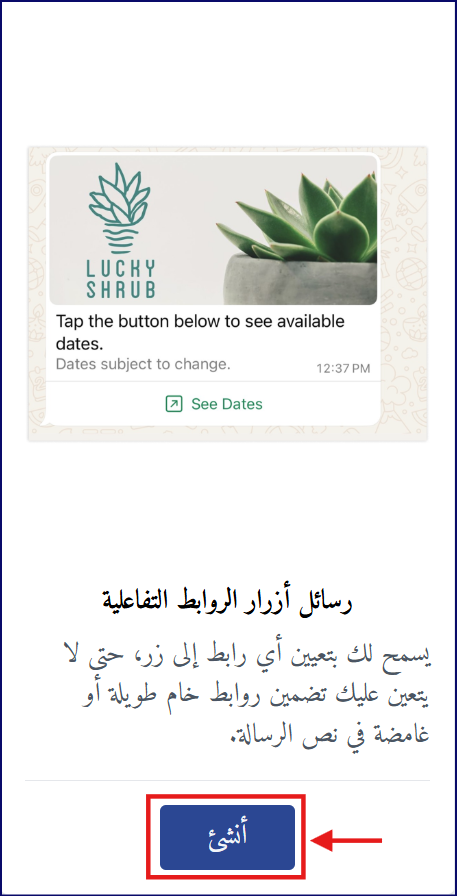 Message8-AR